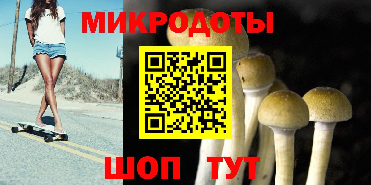 Галлюциногенные грибы ЛСД Гудермес