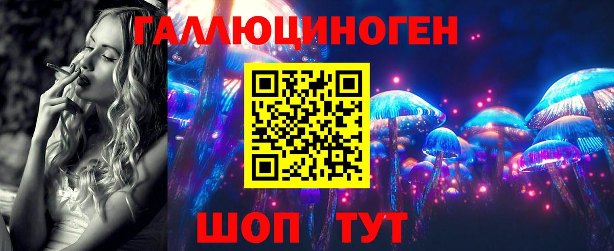 Гудермес  Псилоцибиновые грибы мухоморы  Псилоцибиновые грибы мухоморы  Вход с VPN 